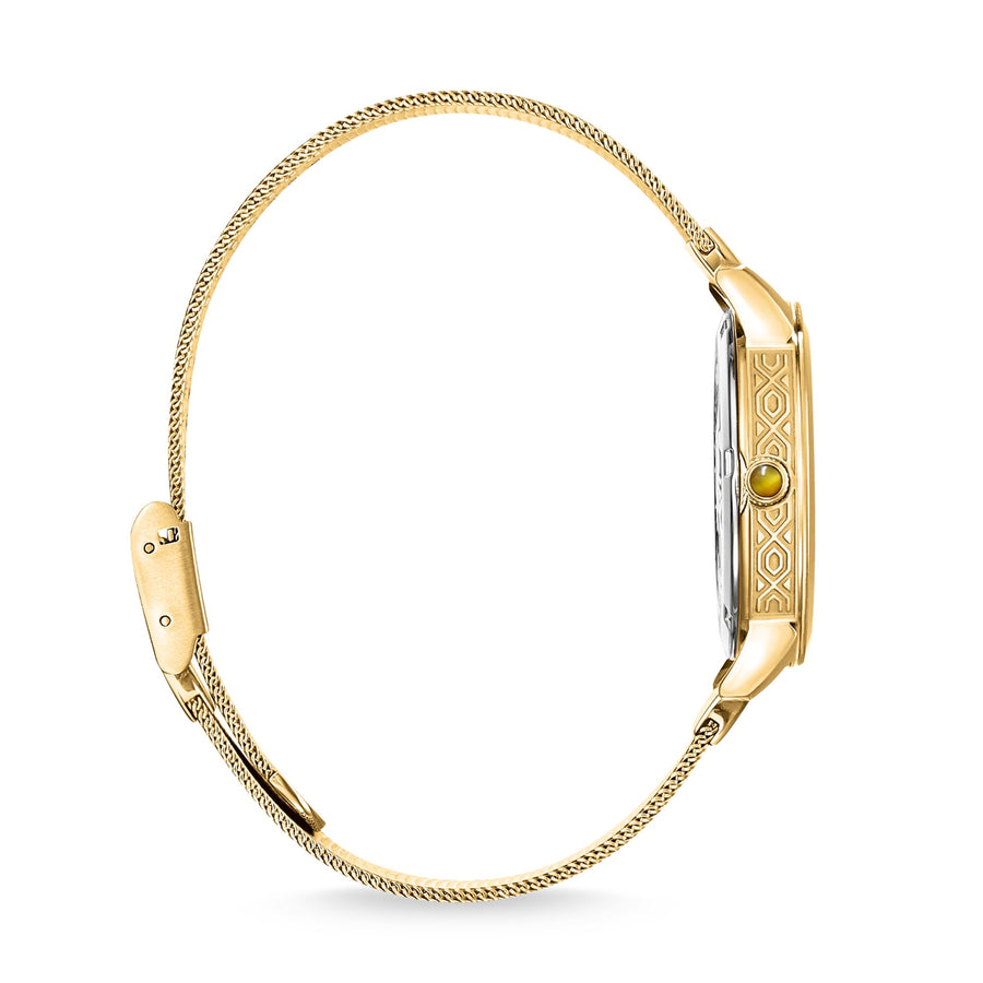montre pour femme Garden Spirit oeil-de-tigre or