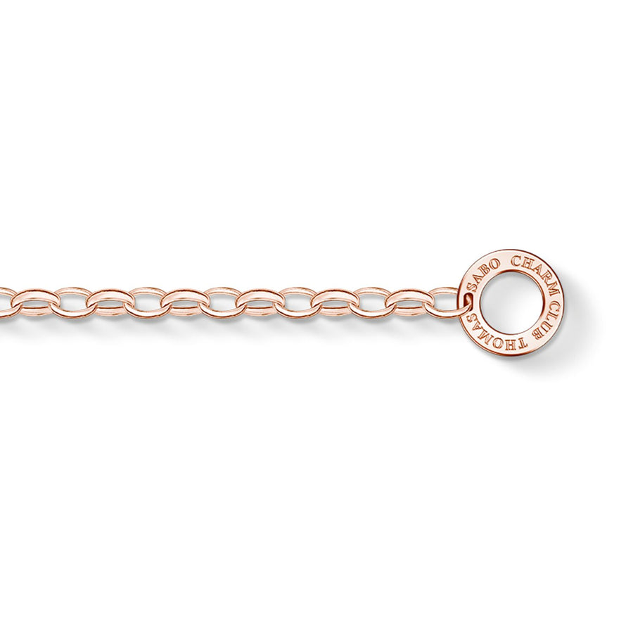 Bracelet Charm