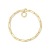Bracelet Charm